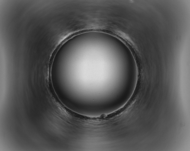 X0000087311220200704201204