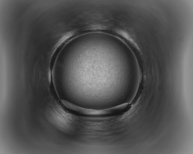 X0000087311221200704201204