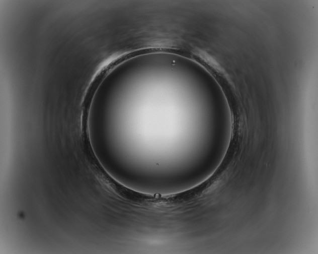 X0000087311222200704201204