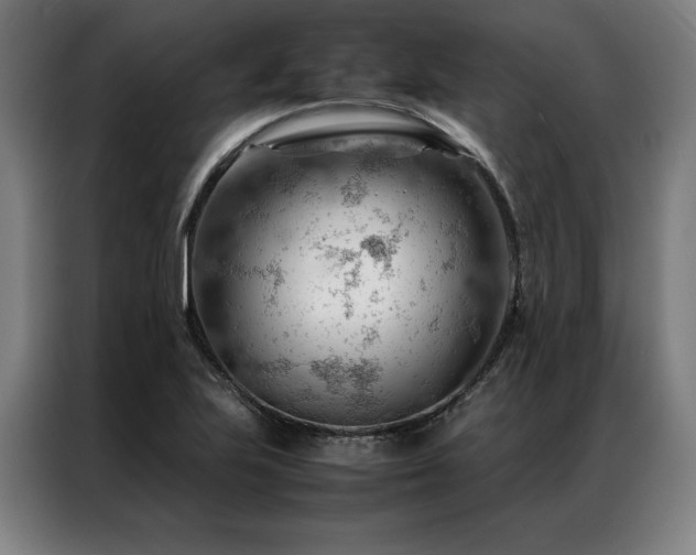 X0000087311223200704201204