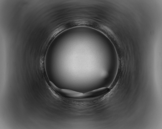 X0000087311225200704201204