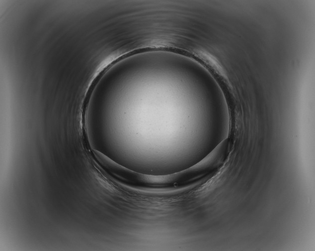 X0000087311226200704201204