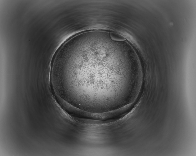 X0000087311228200704201204