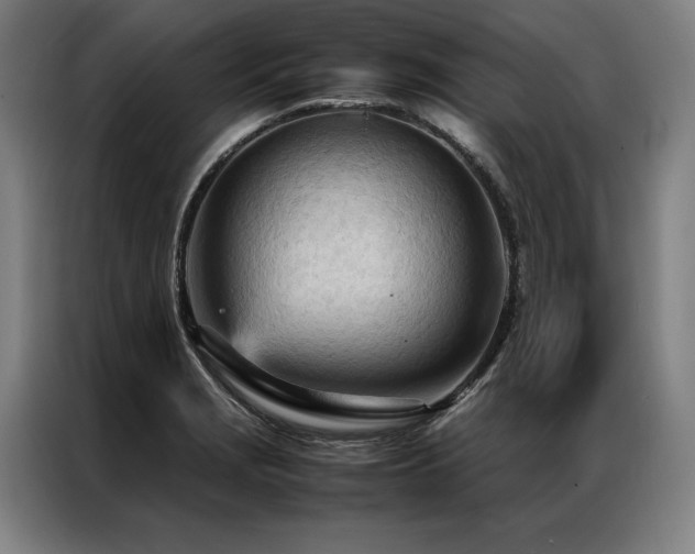 X0000087311229200704201204