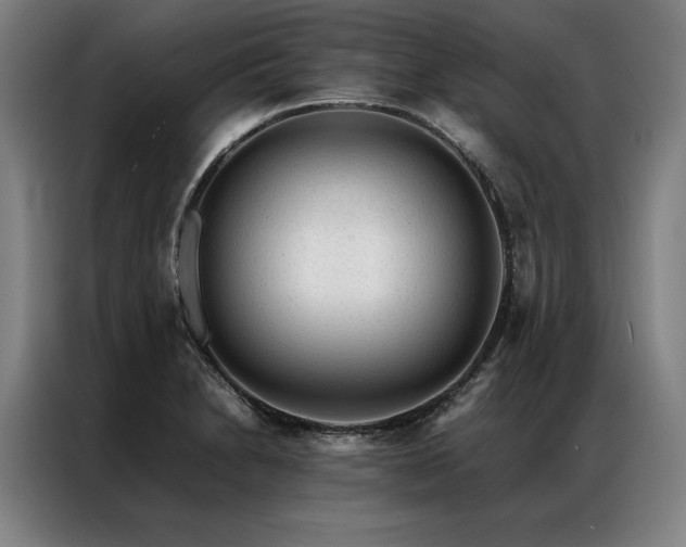 X0000087311230200704201204