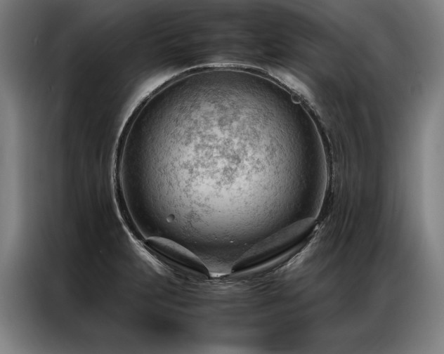 X0000087311231200704201204
