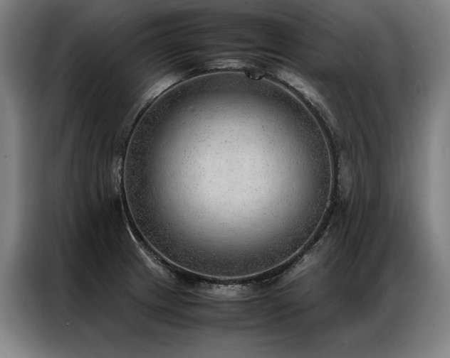 X0000087311233200704201204