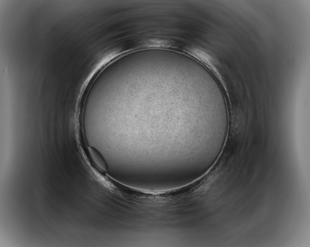X0000087311235200704201204