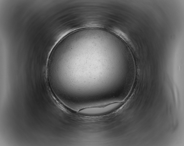 X0000087311236200704201204