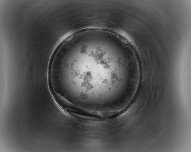 X0000087311237200704201204