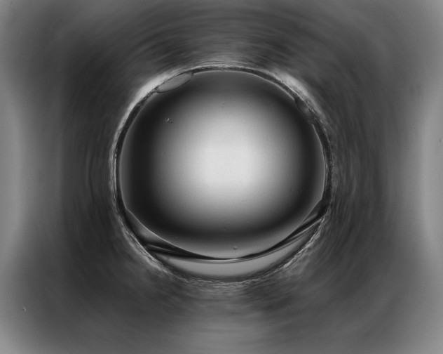 X0000087311238200704201204