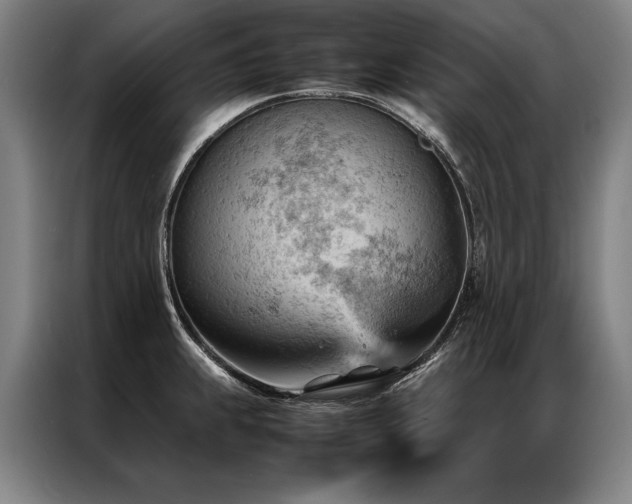 X0000087311239200704201204