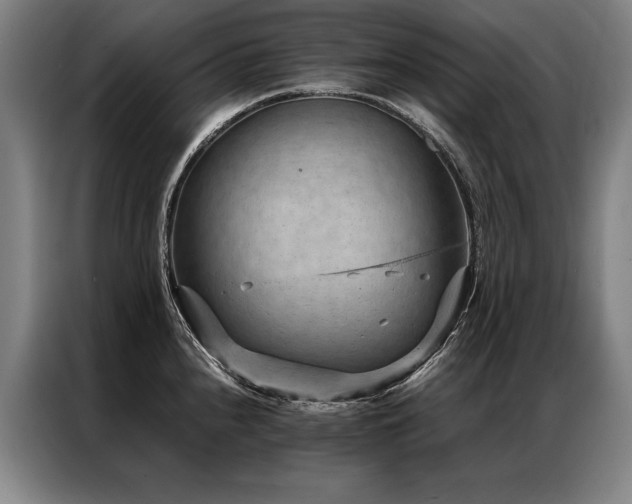 X0000087311240200704201204