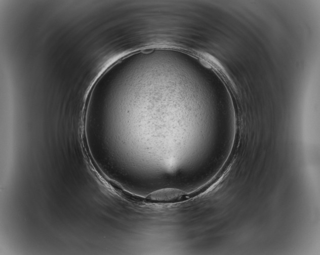 X0000087311244200704201204