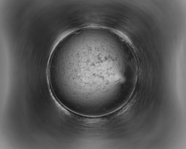 X0000087311247200704201204