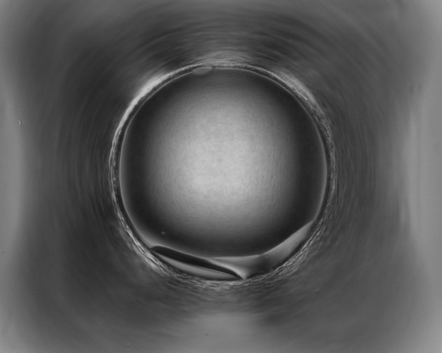 X0000087311248200704201204