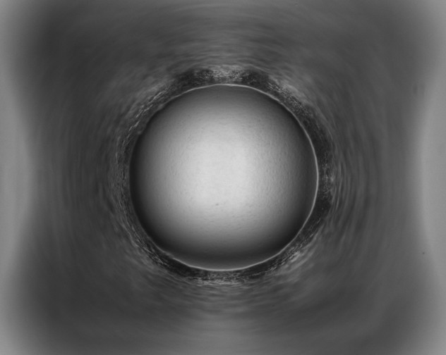 X0000087311249200704201204