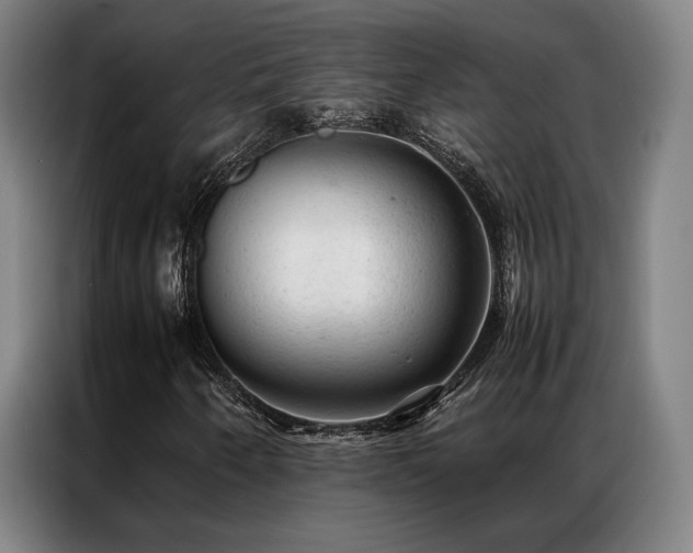 X0000087311250200704201204