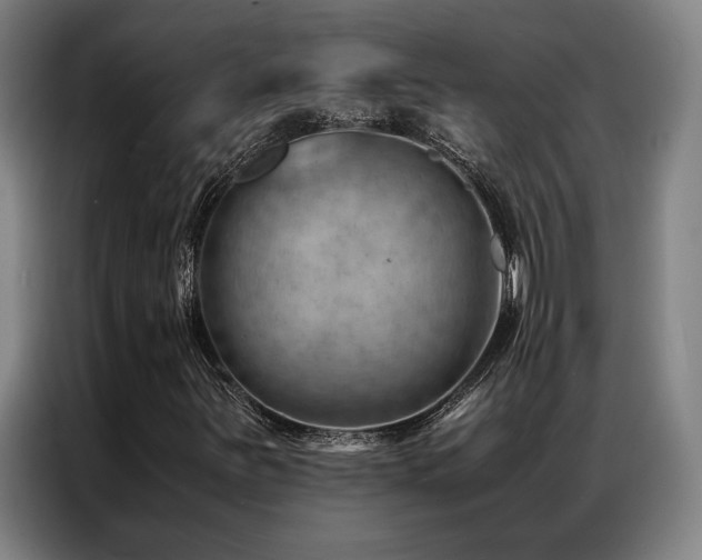 X0000087311251200704201204