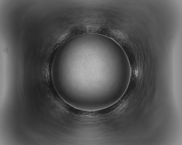 X0000087311252200704201204