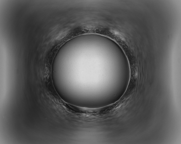 X0000087311253200704201204