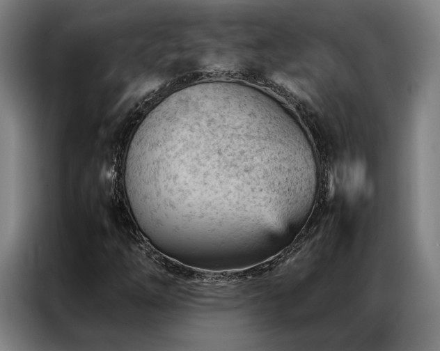 X0000087311254200704201204