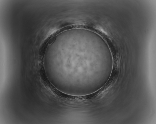 X0000087311255200704201204