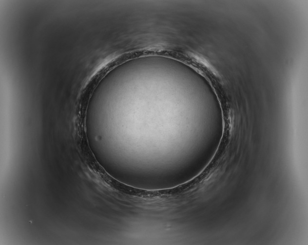 X0000087311256200704201204