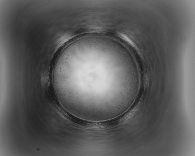 X0000087311259200704201204