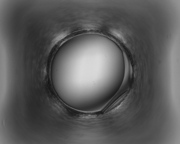 X0000087311261200704201204