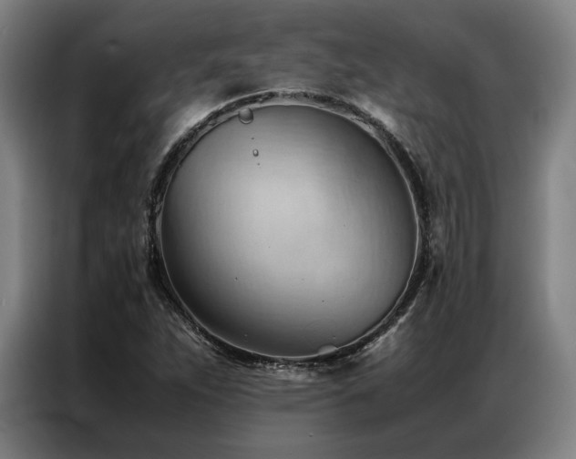 X0000087311263200704201204