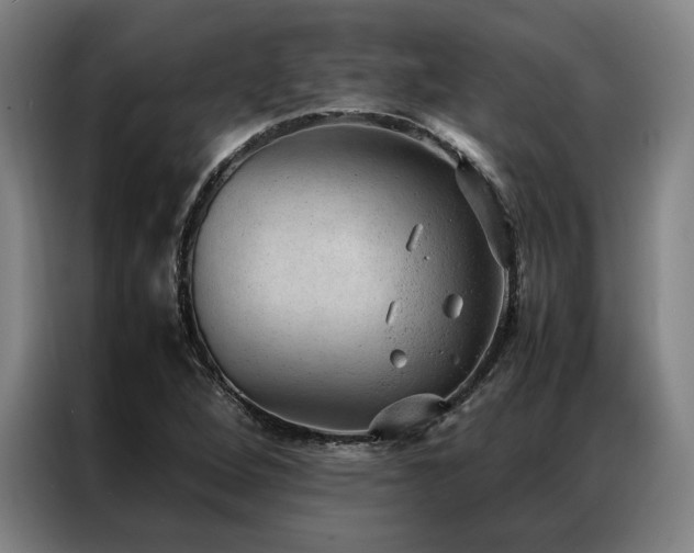 X0000087311264200704201204