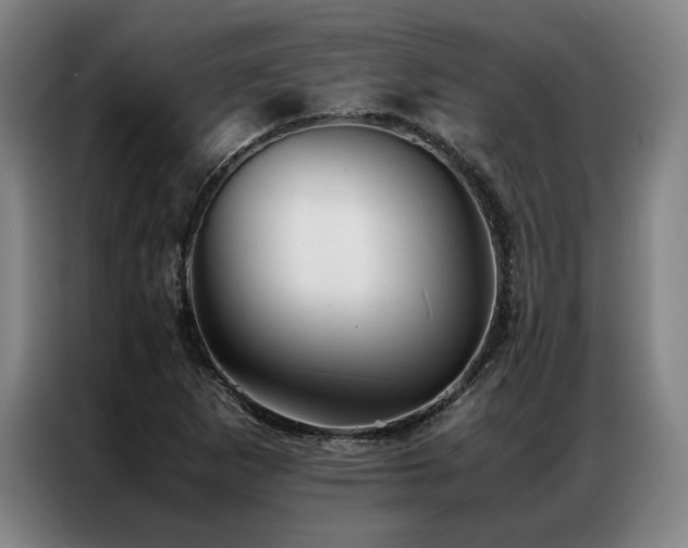 X0000087311265200704201204
