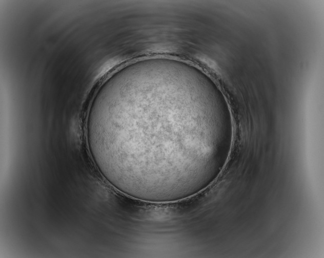 X0000087311266200704201204