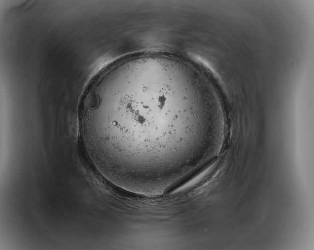 X0000087311267200704201204
