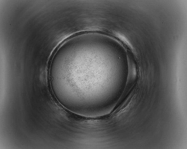 X0000087311268200704201204
