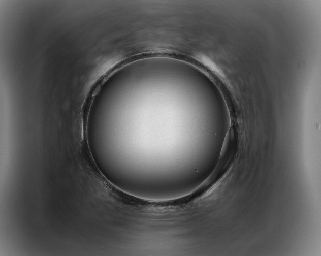 X0000087311269200704201204