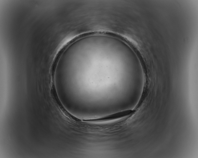 X0000087311271200704201204