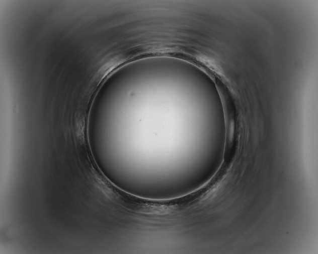 X0000087311273200704201204