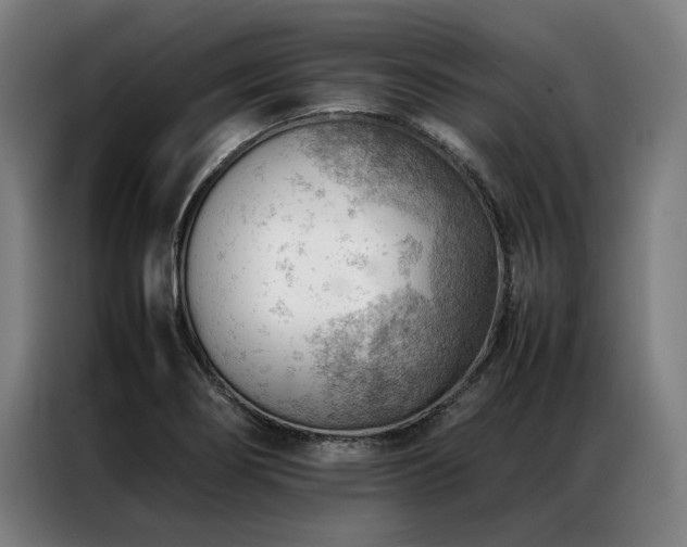 X0000087311274200704201204