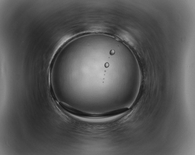 X0000087311275200704201204