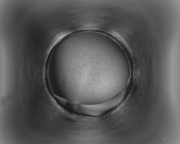 X0000087311277200704201204