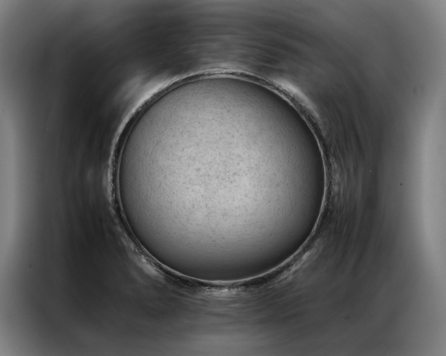 X0000087311278200704201204
