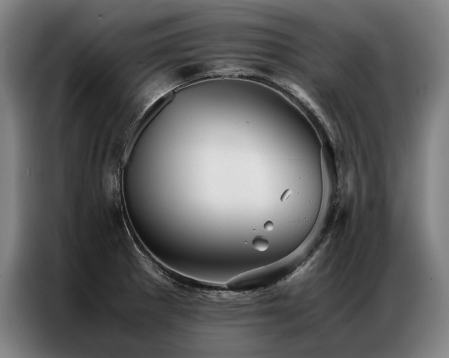 X0000087311281200704201204