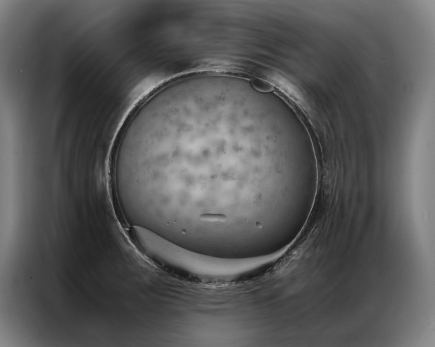 X0000087311283200704201204