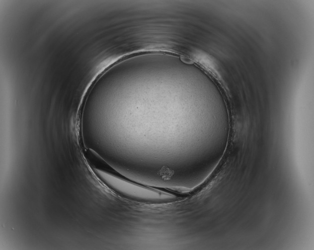 X0000087311284200704201204