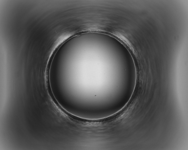 X0000087311285200704201204