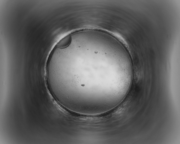 X0000087311287200704201203