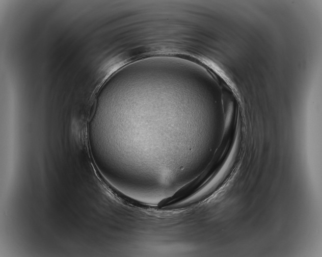 X0000087311289200704201203