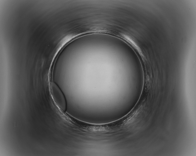 X0000087311291200704201203